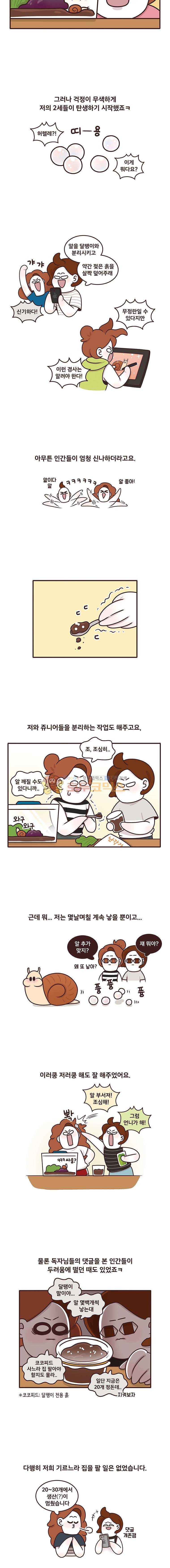 과격자매단 143화 - 추상과 늬모 2