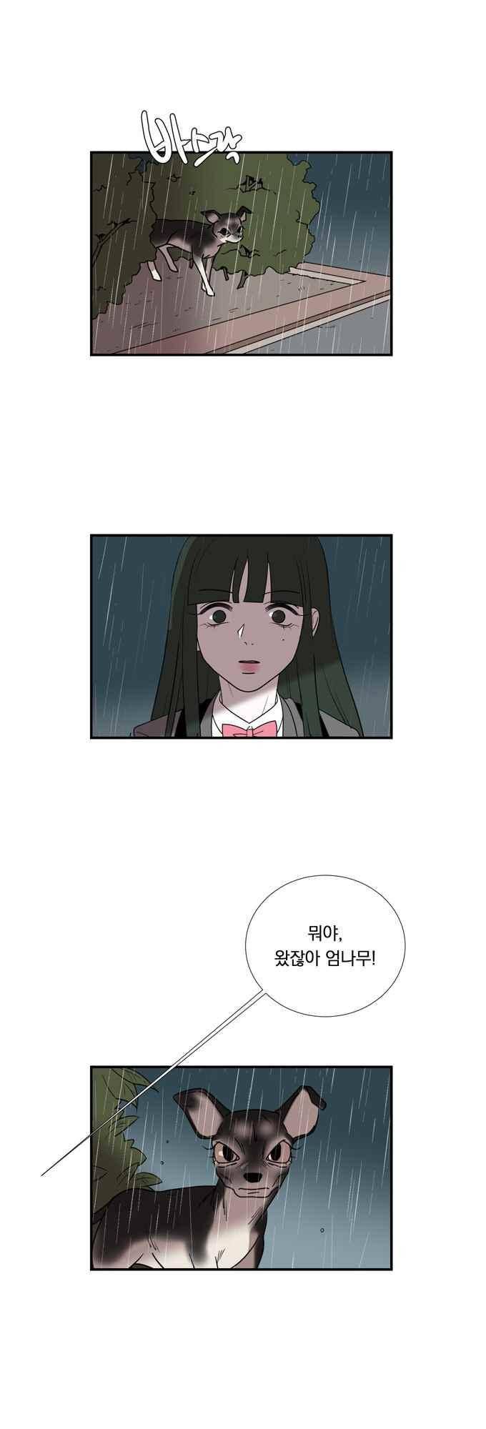 명예소녀의 추락 59화 12