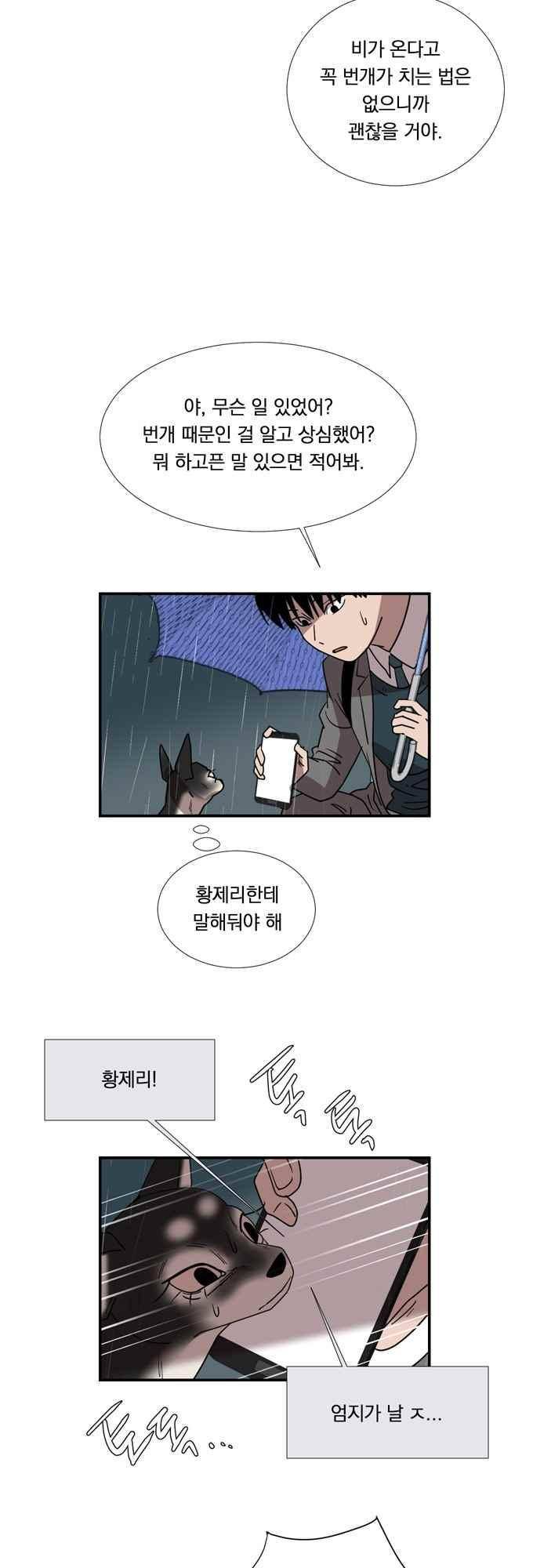 명예소녀의 추락 59화 14
