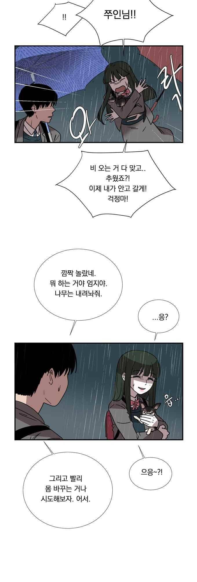 명예소녀의 추락 59화 15