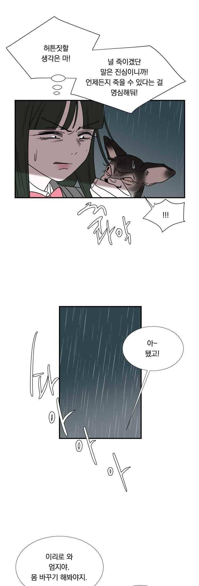 명예소녀의 추락 59화 16