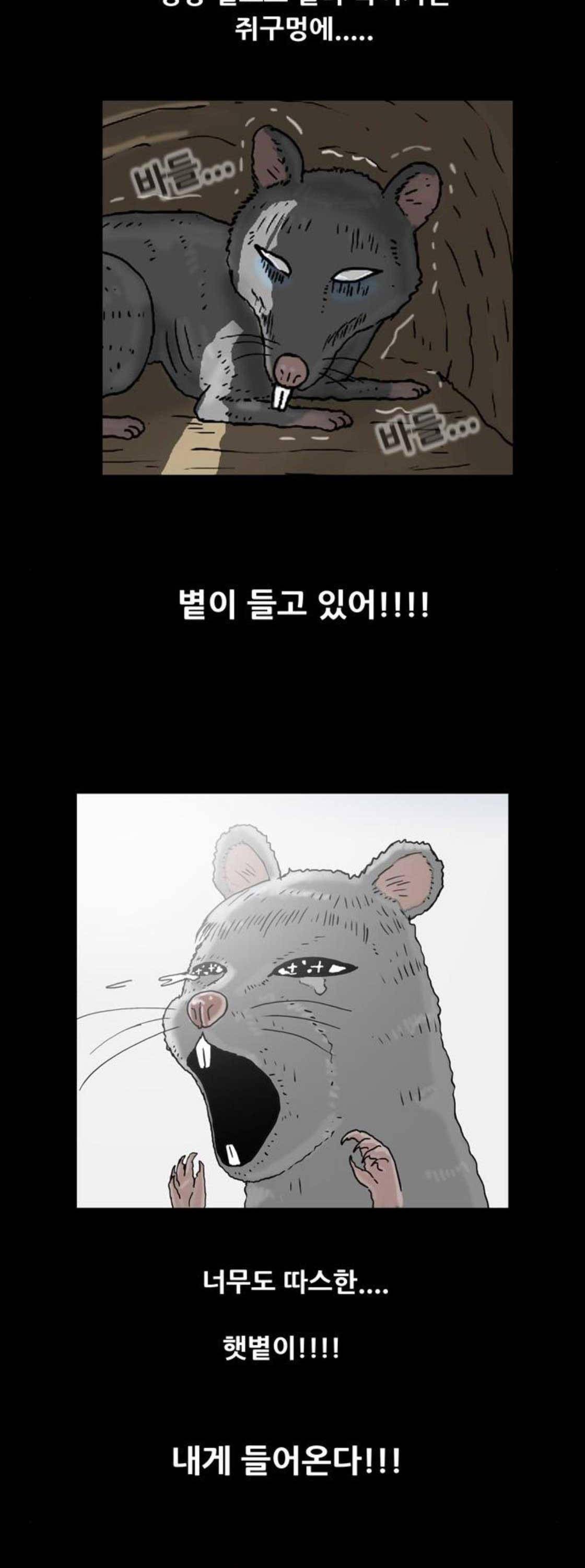 복학왕 241화 - 신년 (5) 4