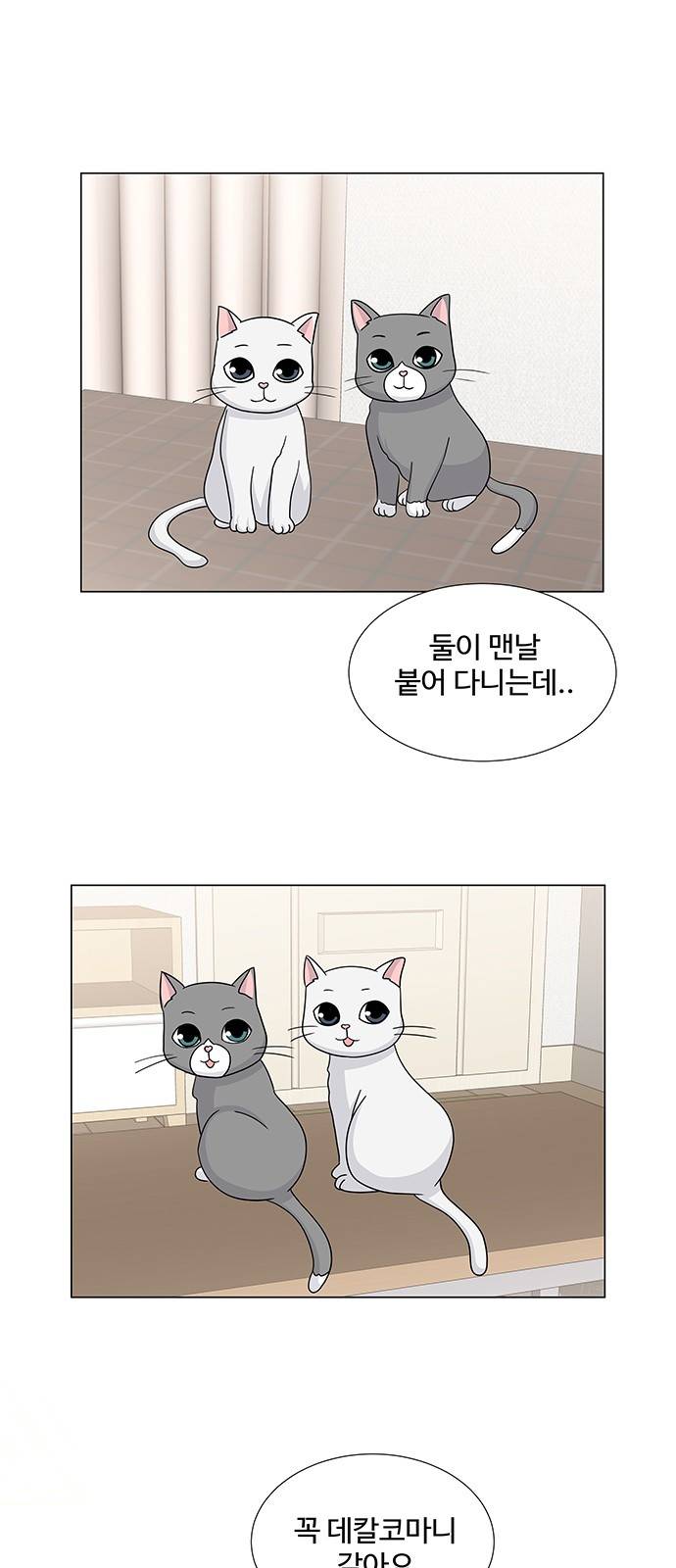 우리 오빠는 아이돌 59화 8