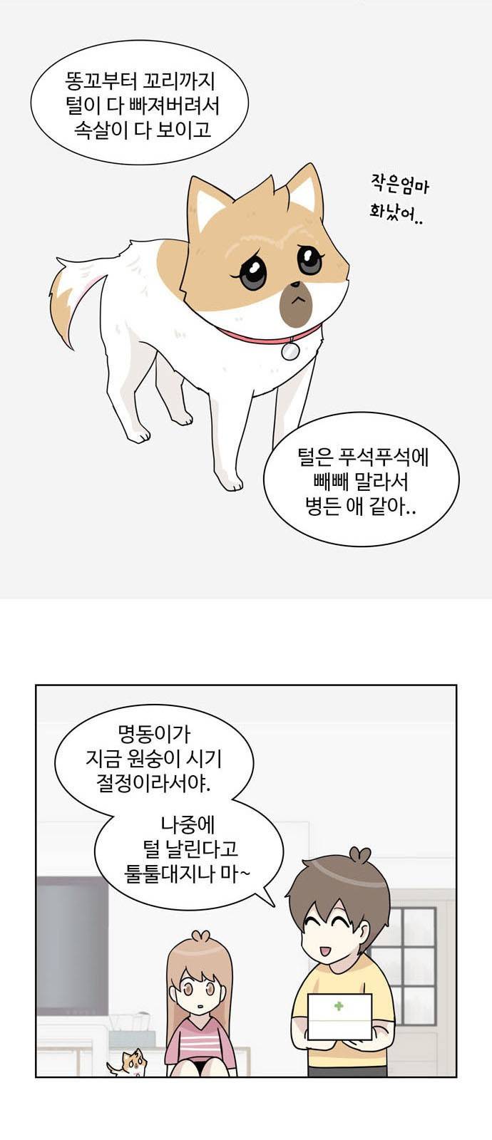 개를 낳았다 23화 3