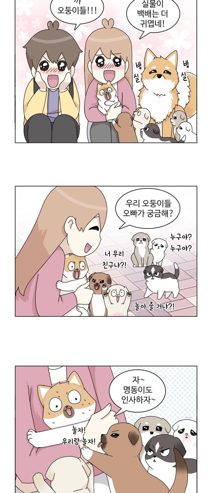 개를 낳았다 33화 2