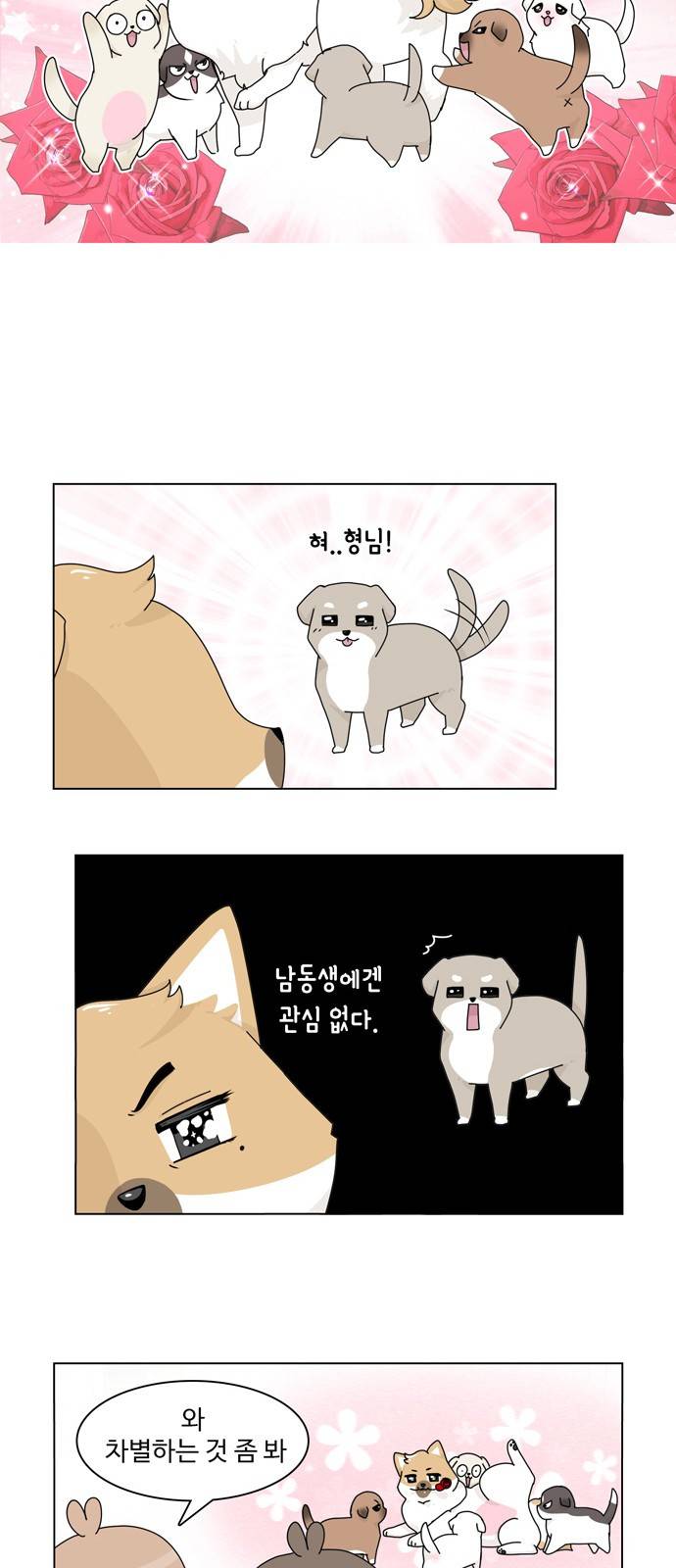 개를 낳았다 33화 5