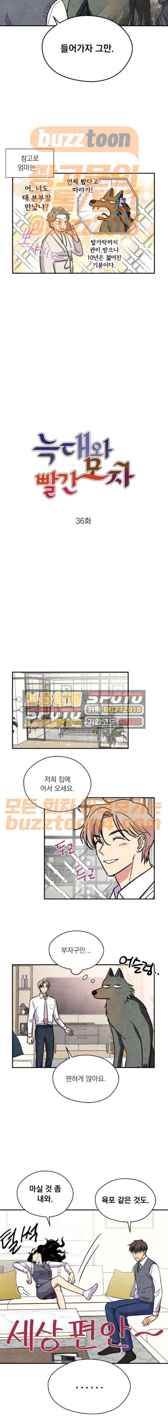 늑대와 빨간모자 36화 2