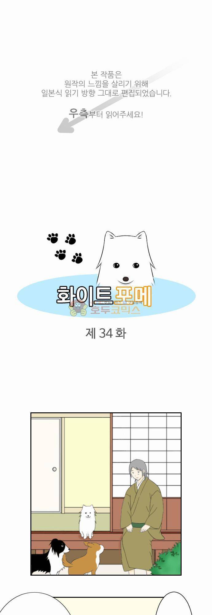 화이트 포메 34화 - 힐링 1