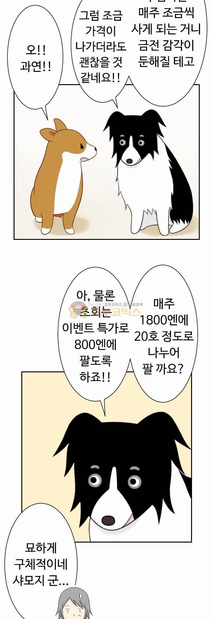 화이트 포메 57화 - 주간 4