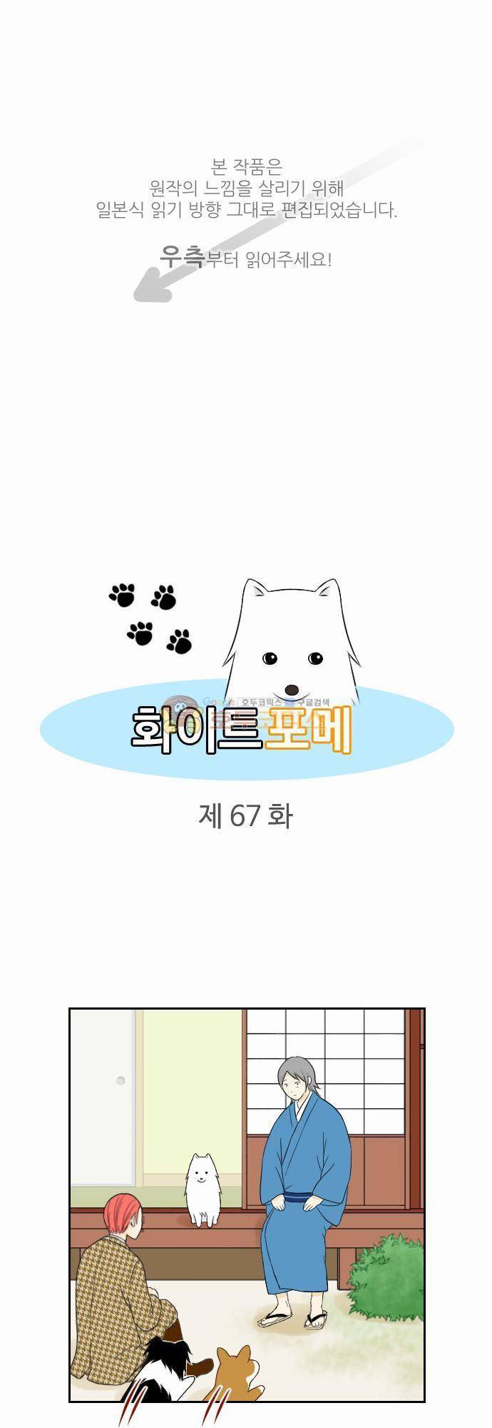 화이트 포메 67화 - 리본 1