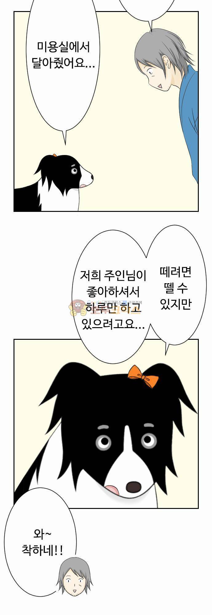 화이트 포메 67화 - 리본 3