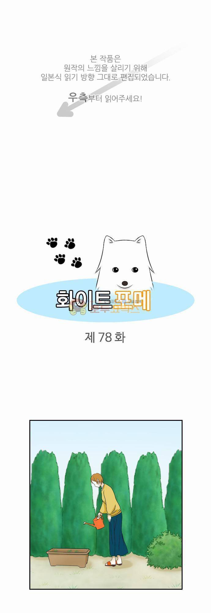 화이트 포메 78화 - 왈왈 1