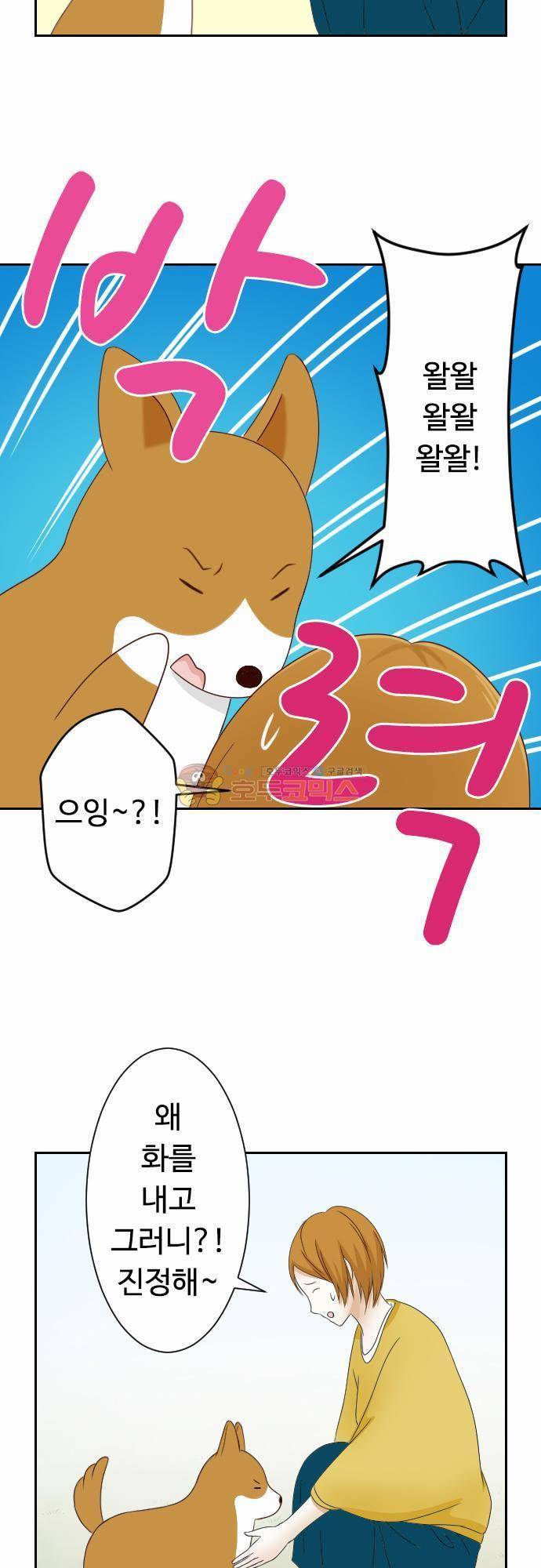 화이트 포메 78화 - 왈왈 3