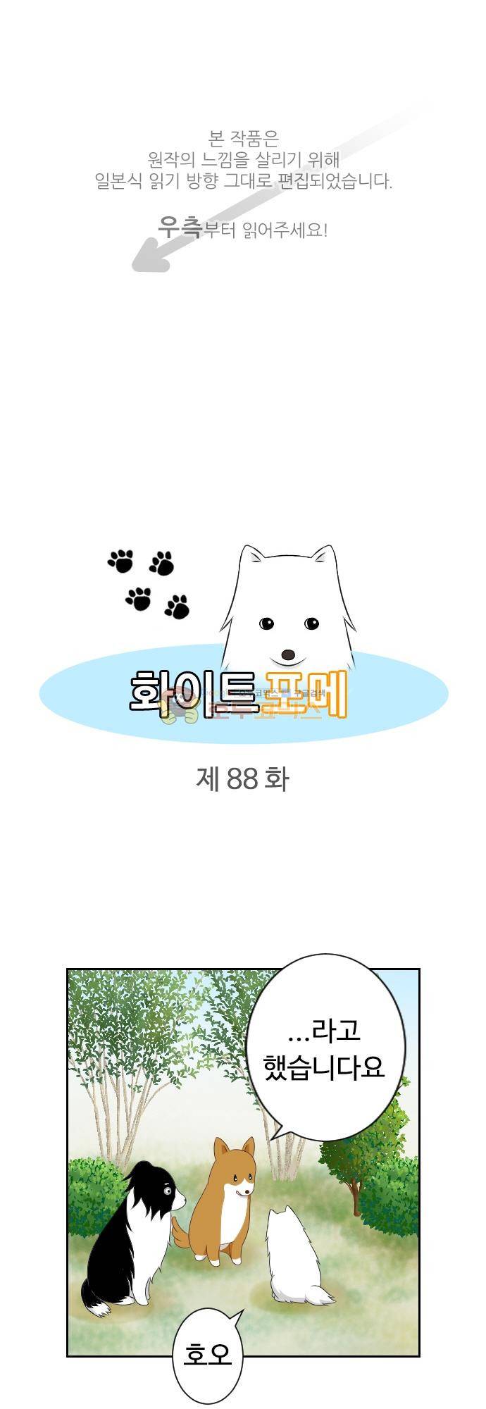 화이트 포메 88화 - 미행 1