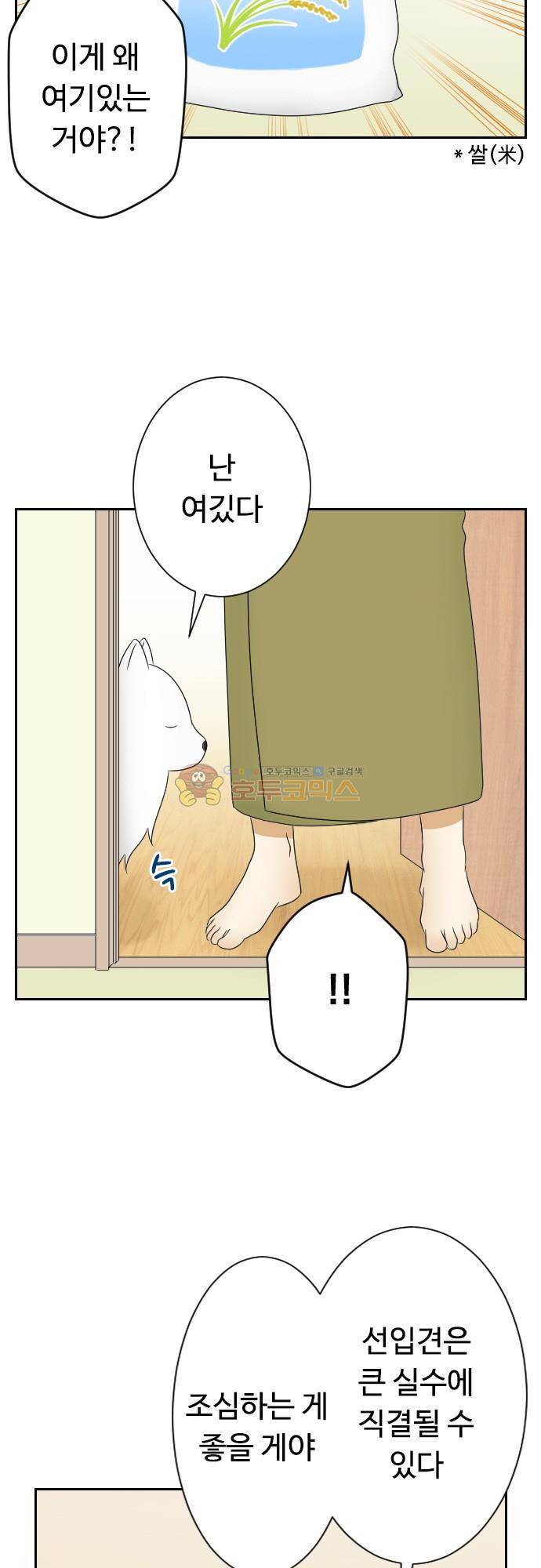 화이트 포메 98화 - 짧은 이야기5 4