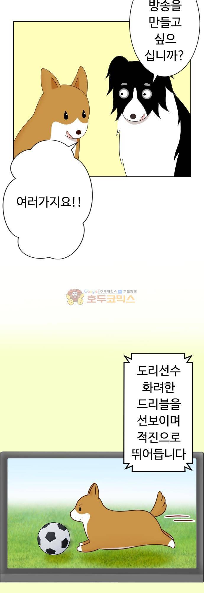 화이트 포메 123화 - TV 프로그램 3