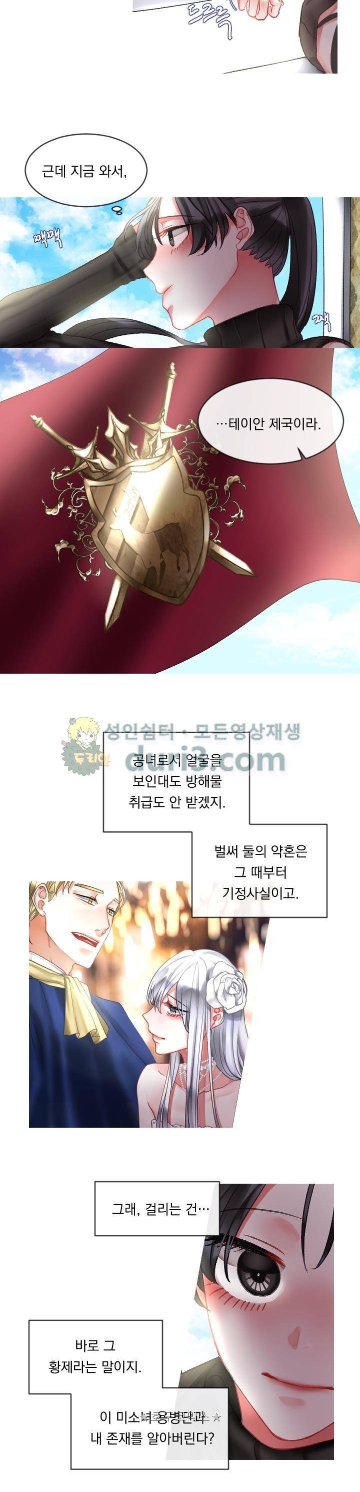 은의 공녀, 까마귀 공녀 8화 - 용병의 여왕 (2) 15