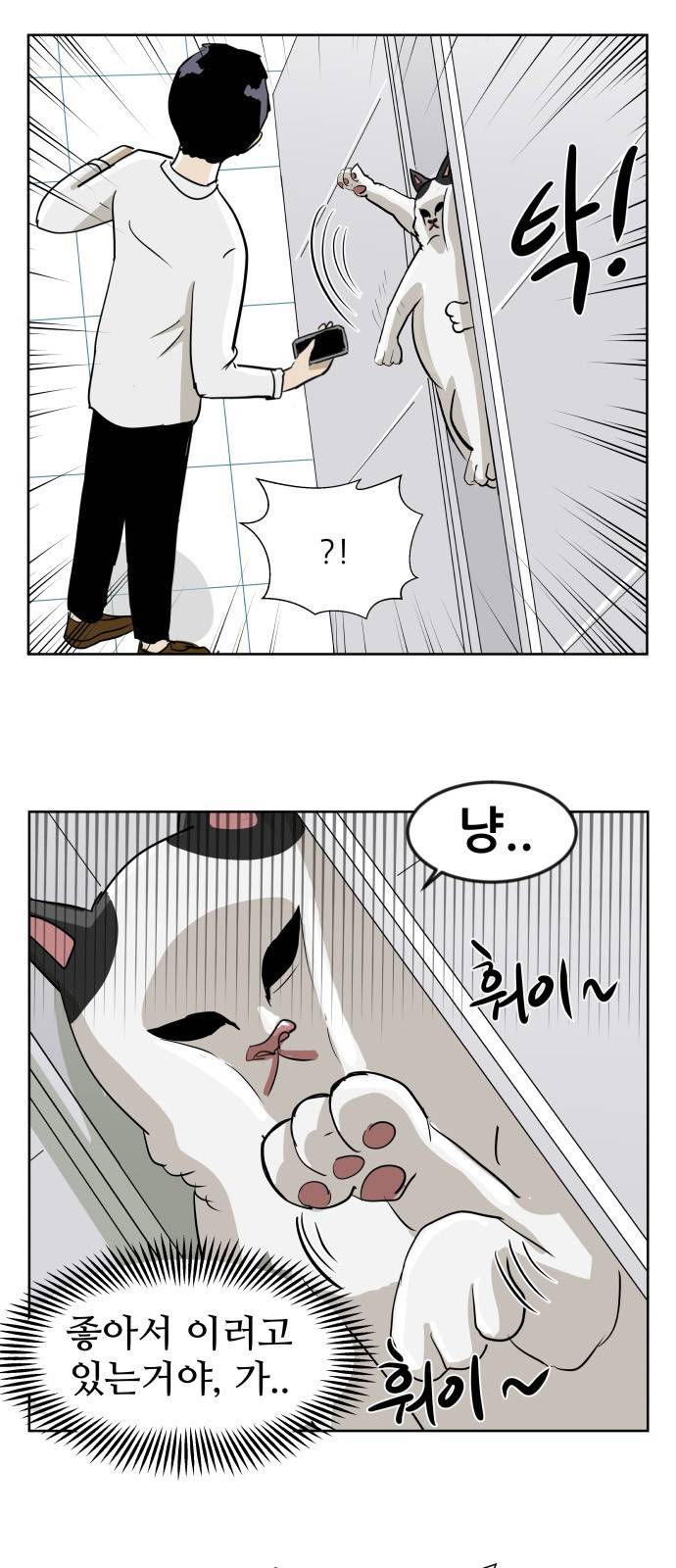 냥하무인 2화 - 집사 찾기 (2) 4