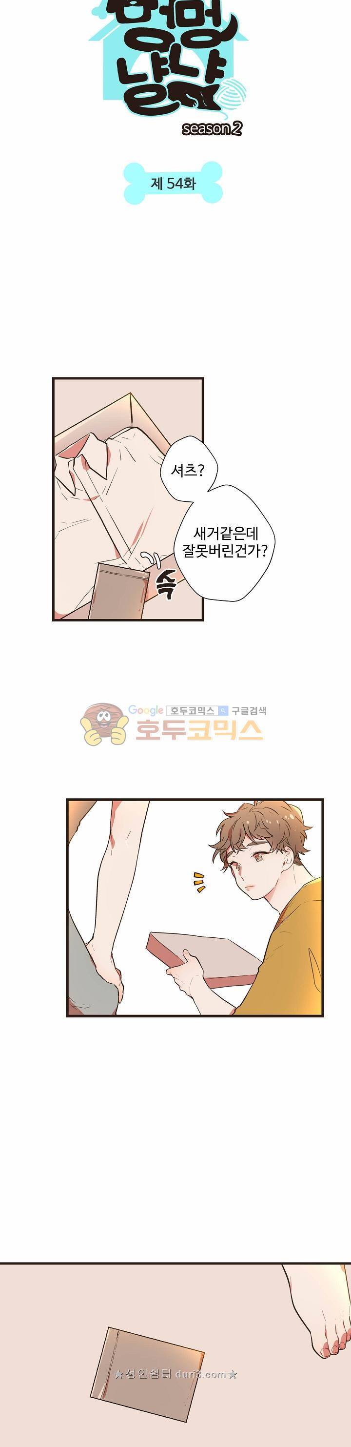 멍멍냥냥 54화 4