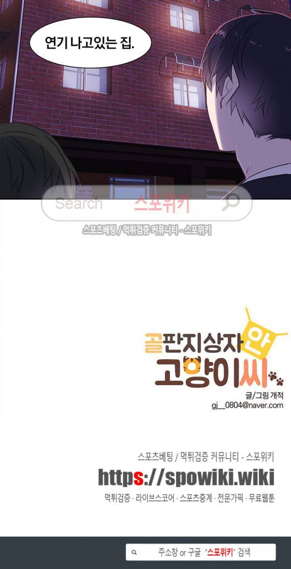 골판지 상자 안 고양이씨 5화 13