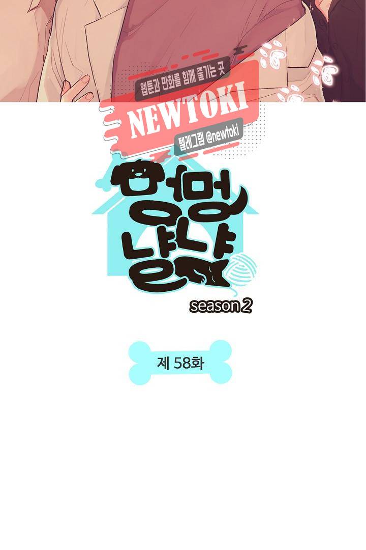 멍멍냥냥 58화 5