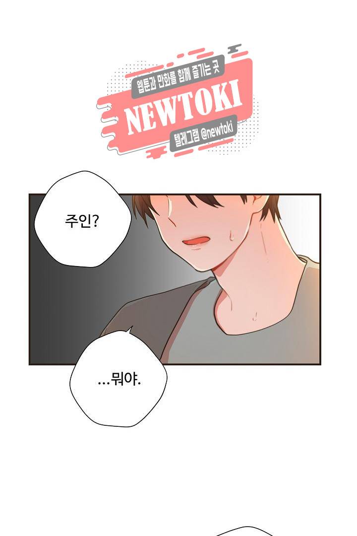 멍멍냥냥 58화 43