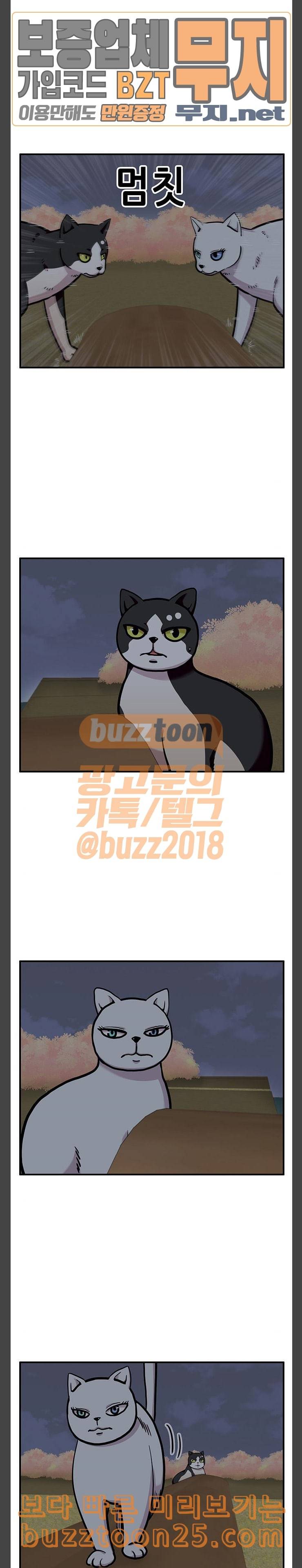 만물의 영장 25화 길고양이 전쟁 1 2