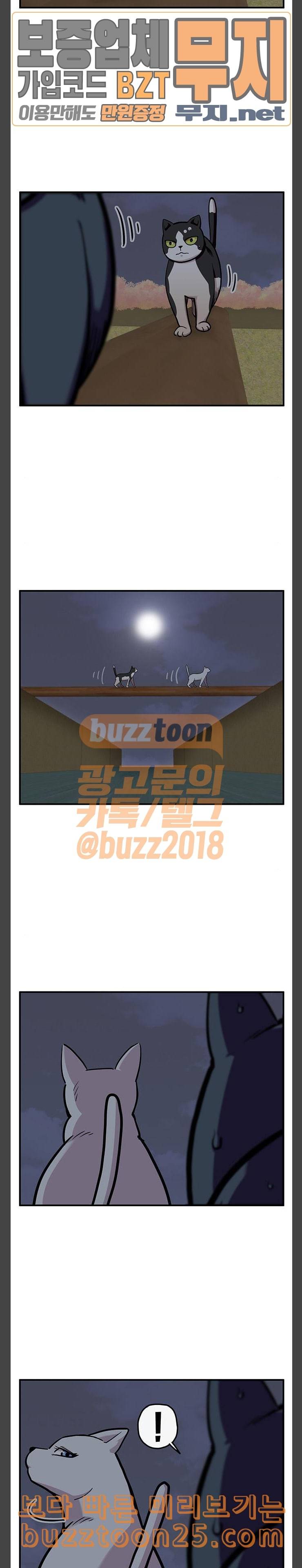 만물의 영장 25화 길고양이 전쟁 1 3