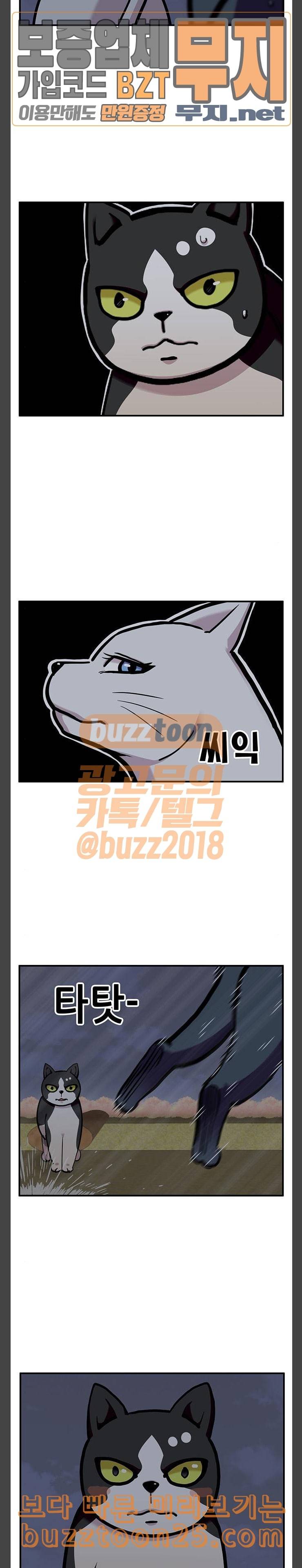 만물의 영장 25화 길고양이 전쟁 1 4