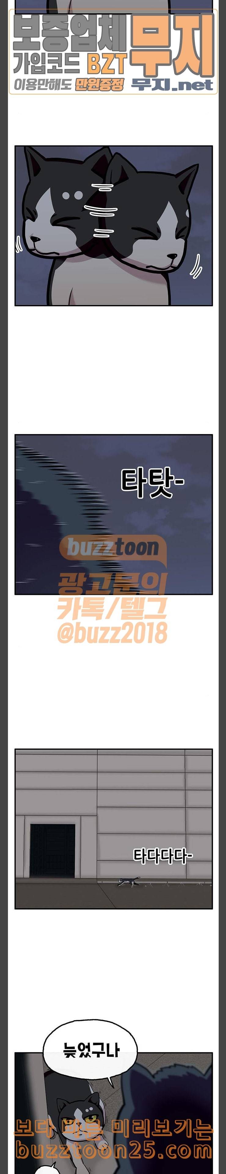 만물의 영장 25화 길고양이 전쟁 1 5