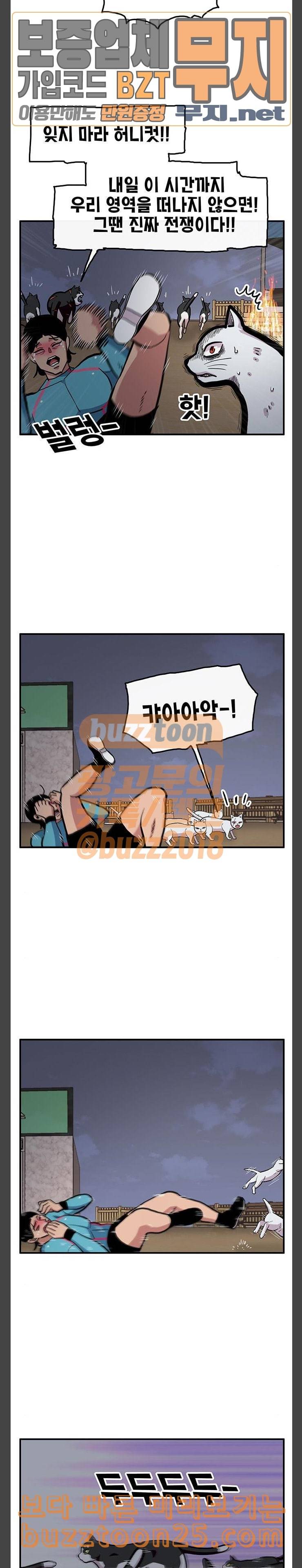 만물의 영장 25화 길고양이 전쟁 1 8