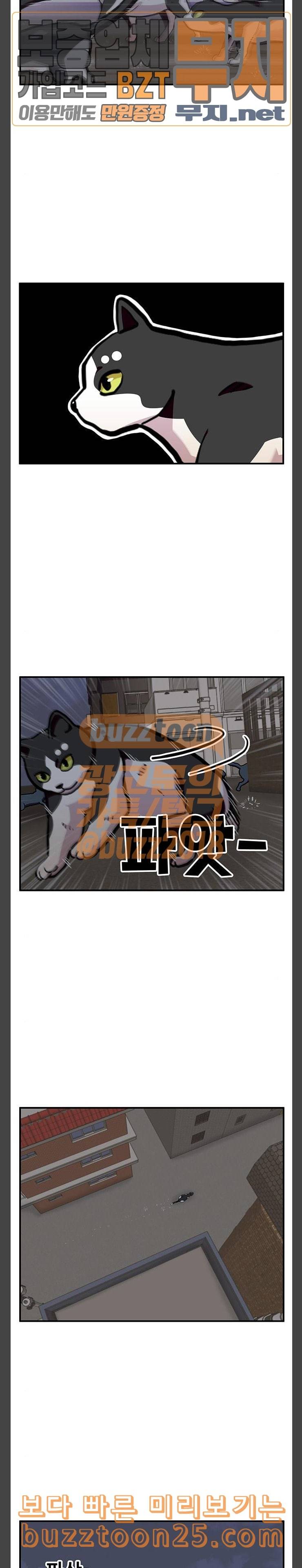 만물의 영장 25화 길고양이 전쟁 1 9
