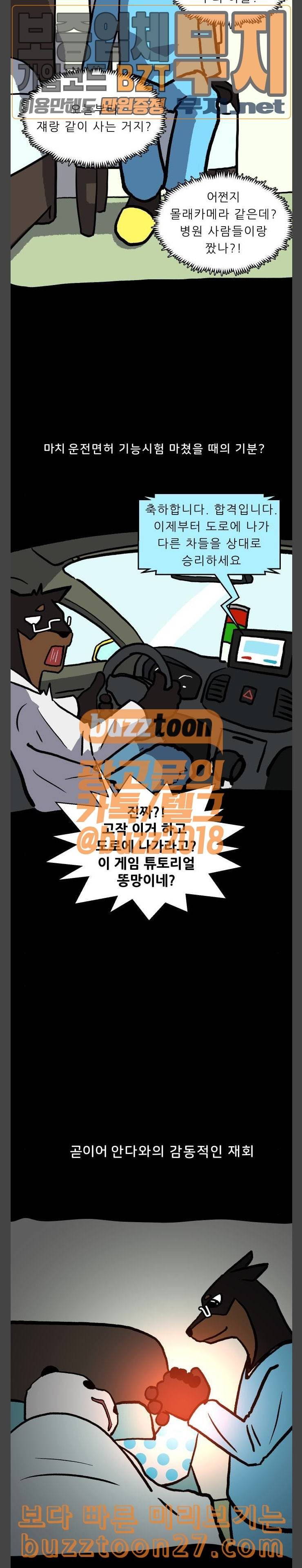 닥터앤닥터 육아일기 35 레서 탄생 2 10