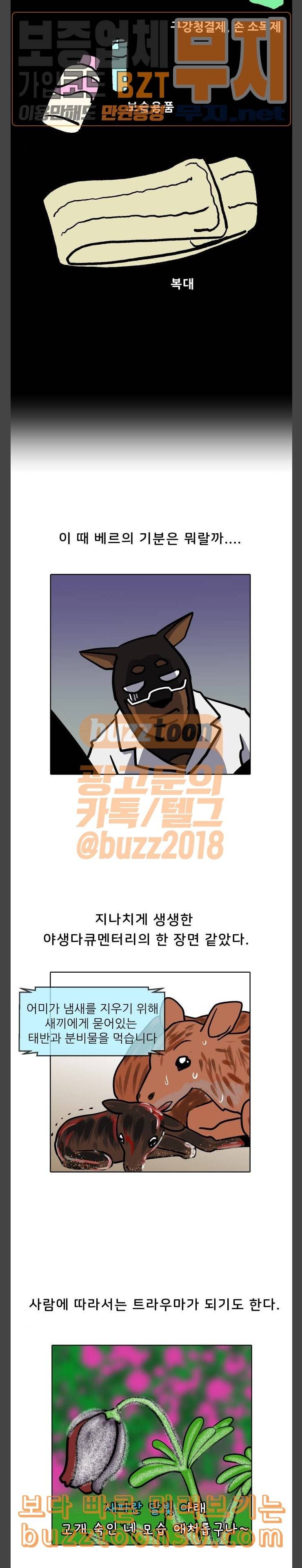 닥터앤닥터 육아일기 36 레서 탄생 3 5