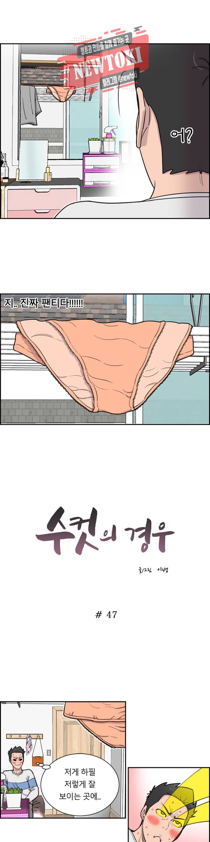 수컷의 경우 47화 2