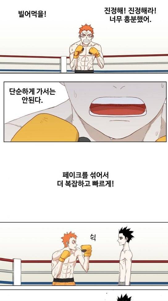더 복서 13화 5