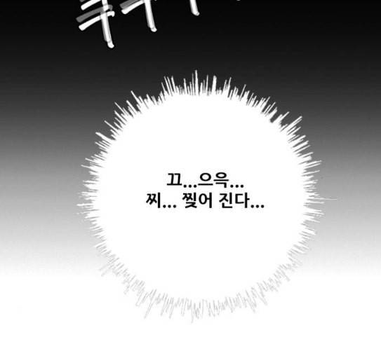 호랑이형님 2부 166화 그날 거인들의 사투 5 62