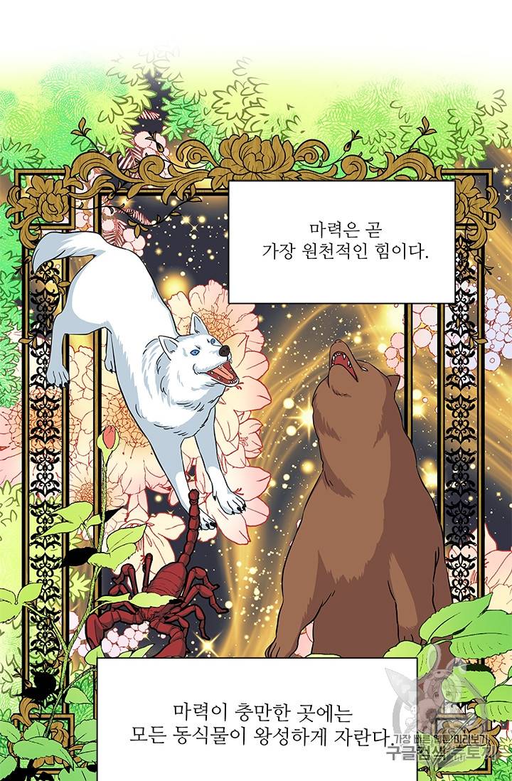 프리실라의 결혼 의뢰 24화 11