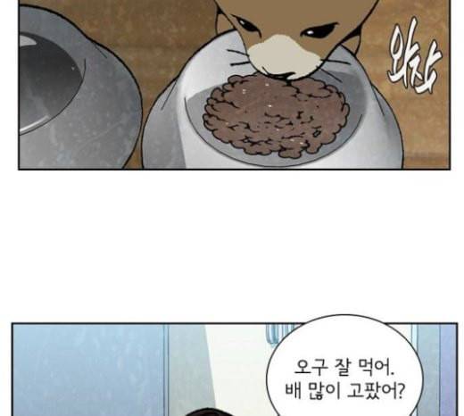 금붕어 마지막화 14