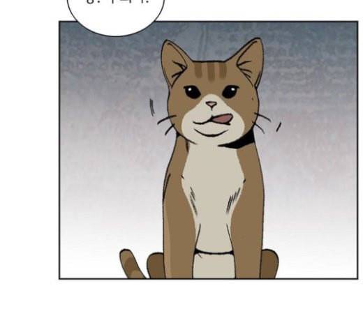 금붕어 마지막화 18