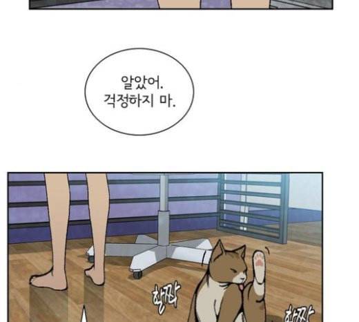 금붕어 마지막화 21