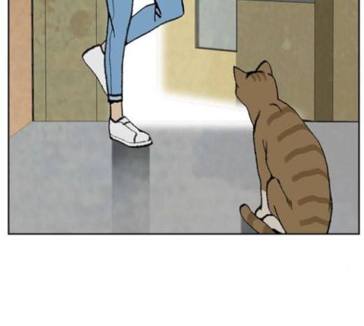 금붕어 마지막화 28