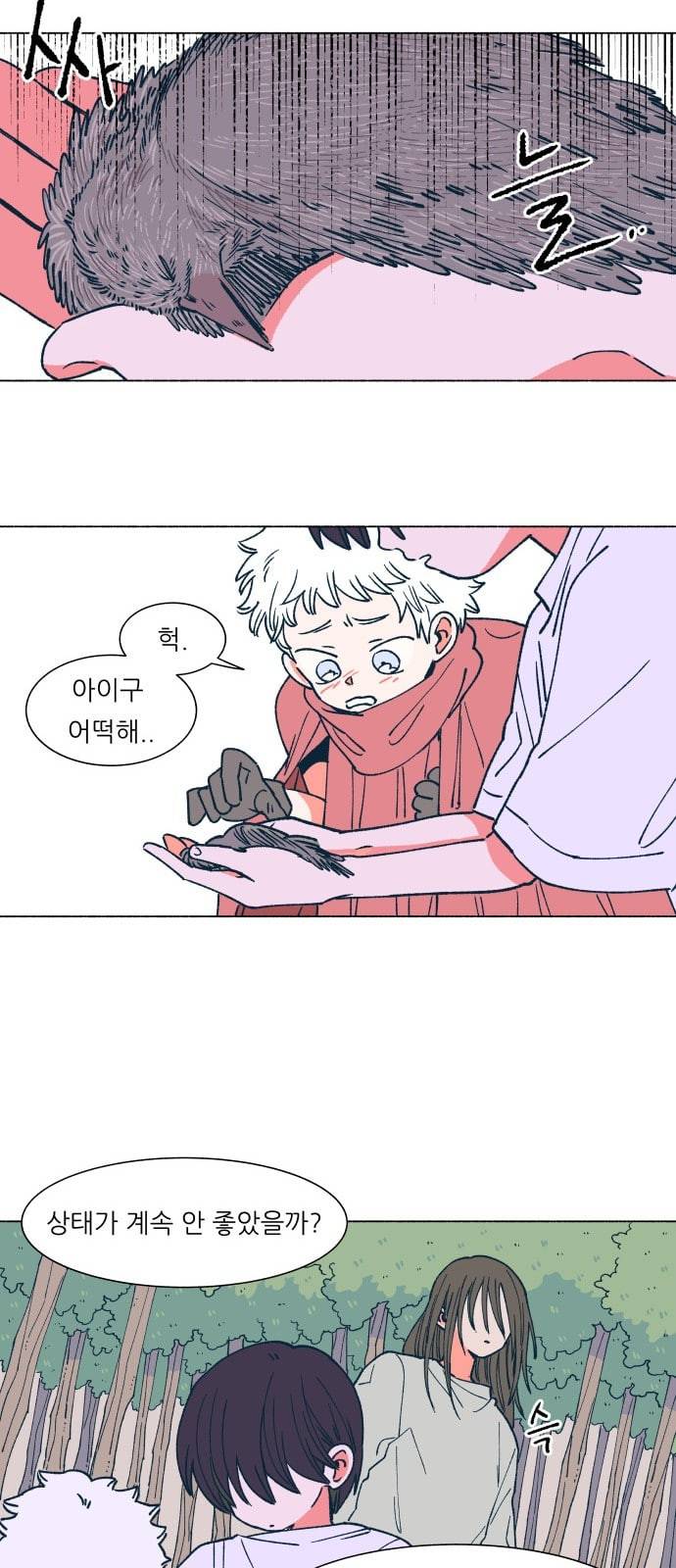 숲속의 담 11화 6