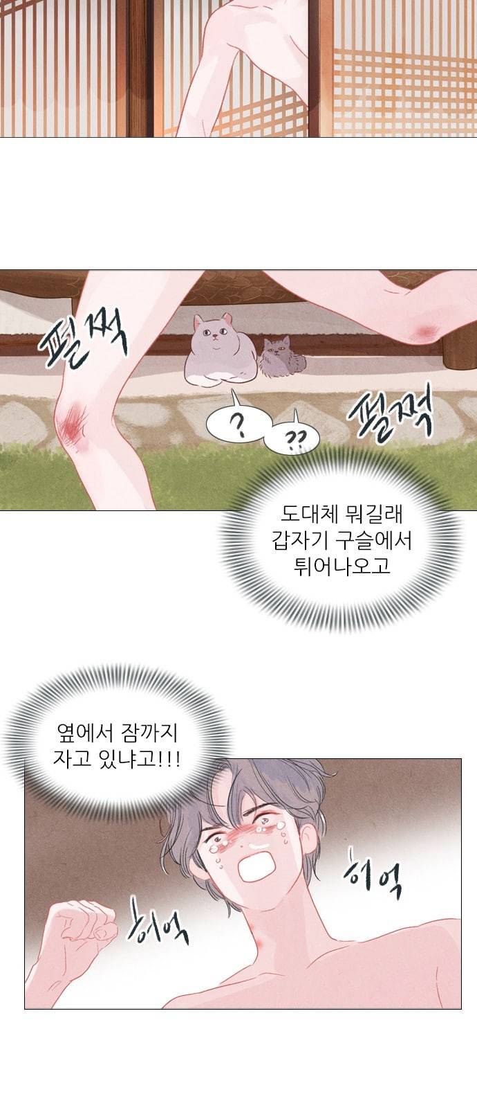 신비 2화 11