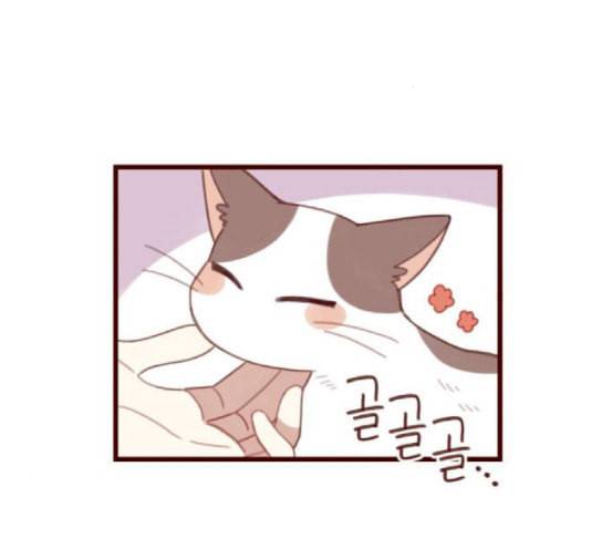 스윗솔티 11화 3