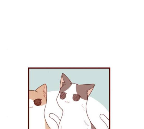스윗솔티 11화 10