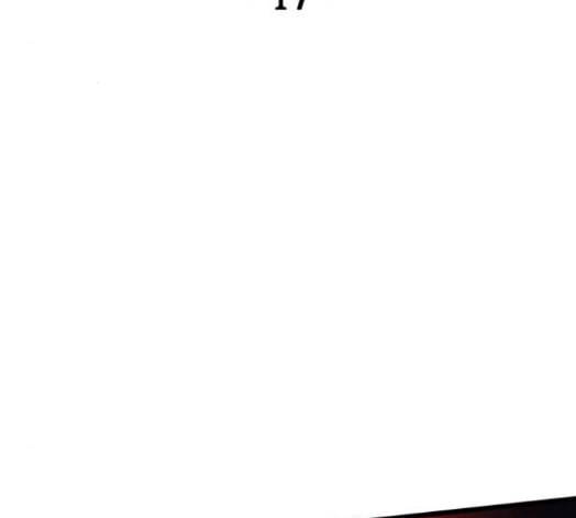 아르세니아의 마법사 17화 2