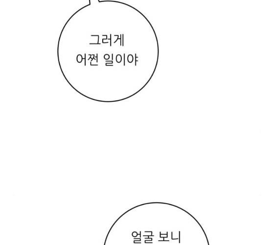 백수세끼 48 치즈 돈가스 네이버 120