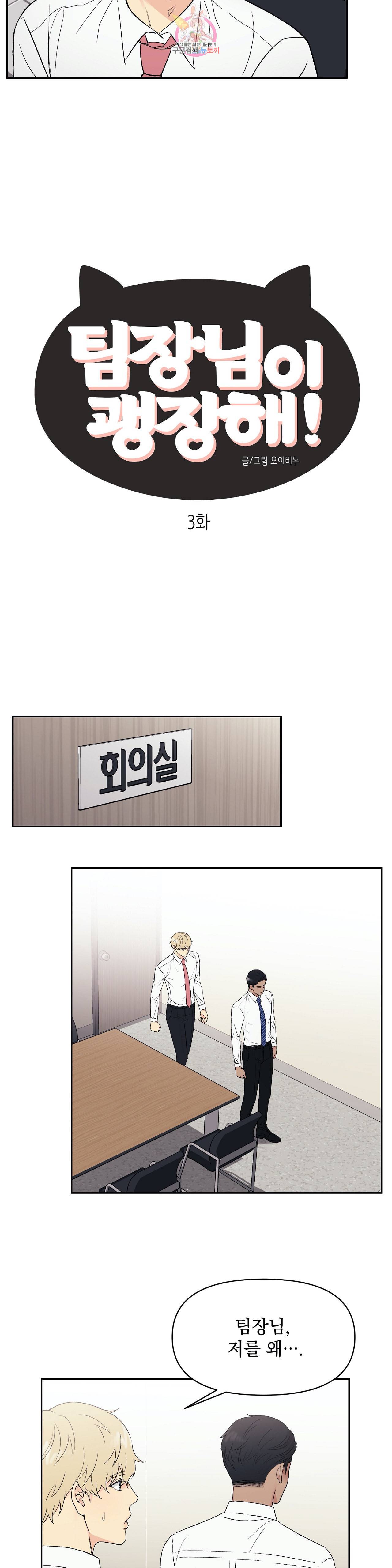 팀장님이 괭장해 3화 2
