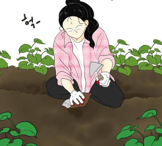 정순애 식당 42화 5